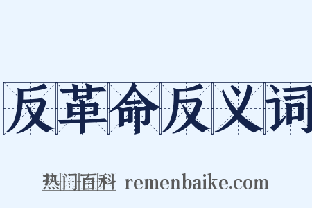 反革命反义词是什么意思的图片